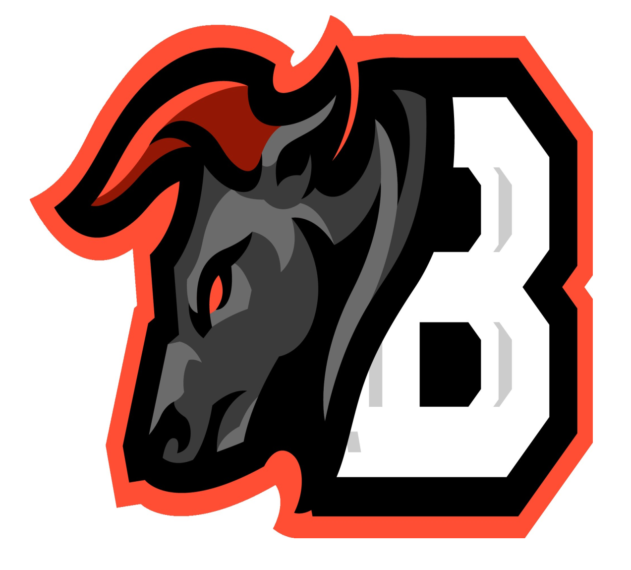 BullFit